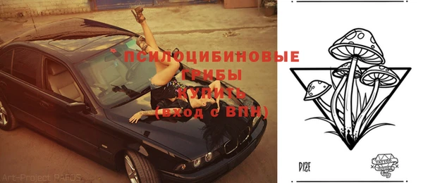 не бодяженный Алексин