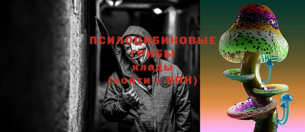 не бодяженный Алексин