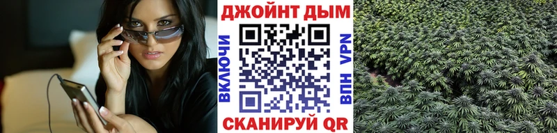 Канабис конопля Купить закладки Теберда